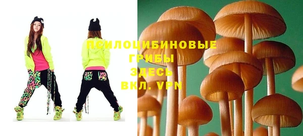 твердый Белоозёрский